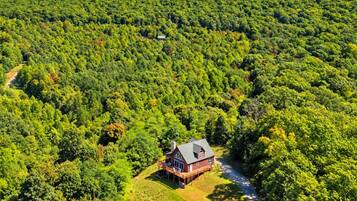 Ein Haus, umgeben von dichtem Wald, mit blauem Himmel.