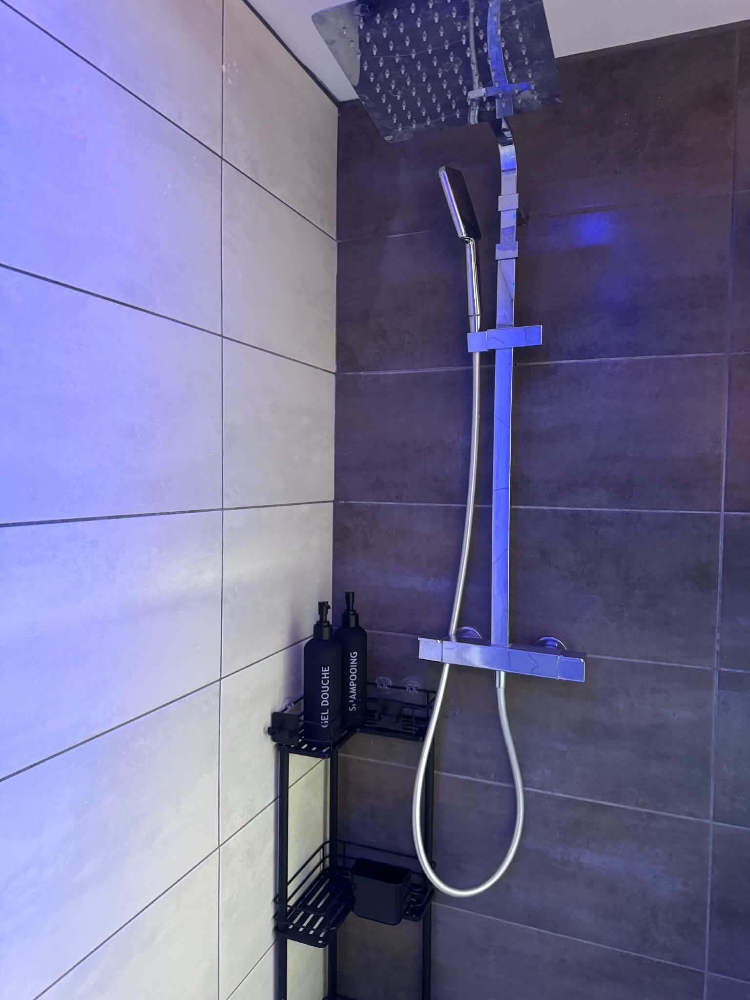 Une douche équipée d’un pommeau de douche à main et d’un robinet mural. On peut voir deux bouteilles sur une étagère, l’une portant l’étiquette « GEL DOUCHE » et l’autre « SHAMPOOING ».