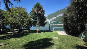A grassy area with trees, a bench, and a view of a mountain.