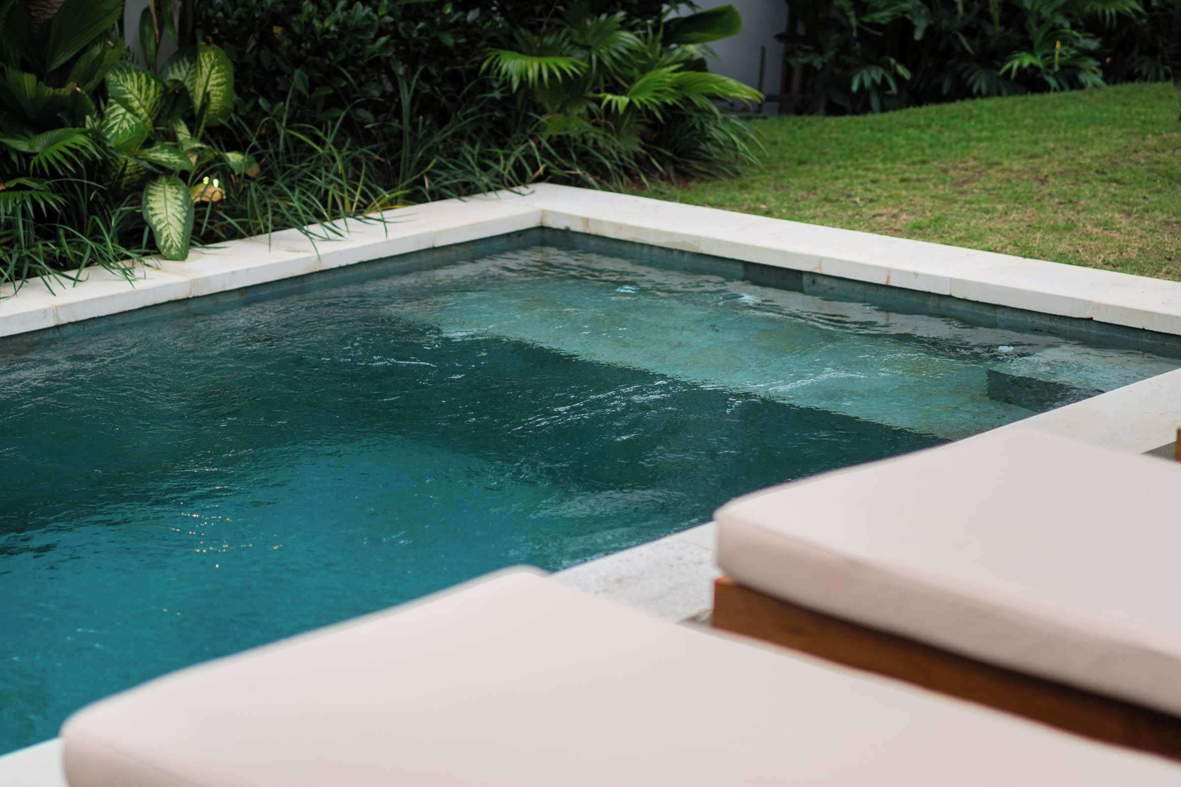 Ein rechteckiger Swimmingpool mit weißem Rand, umgeben von üppiger Vegetation und einer Rasenfläche.