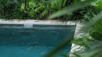 Una piscina rodeada de exuberante vegetación.