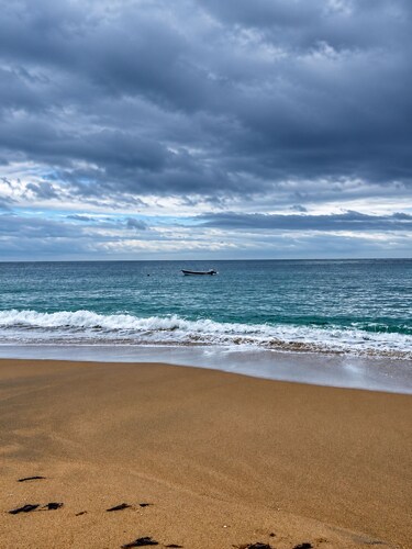 Cabaña los Gansos - playa - Bosque