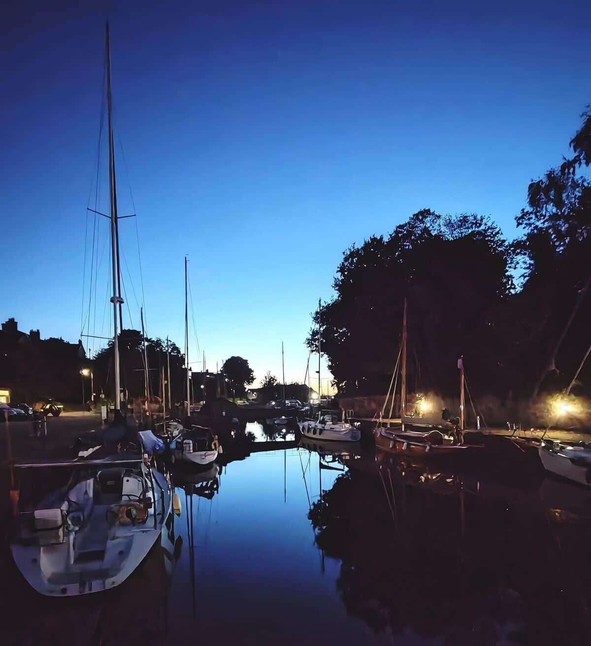 Un puerto deportivo con barcos amarrados, agua tranquila y árboles al fondo.