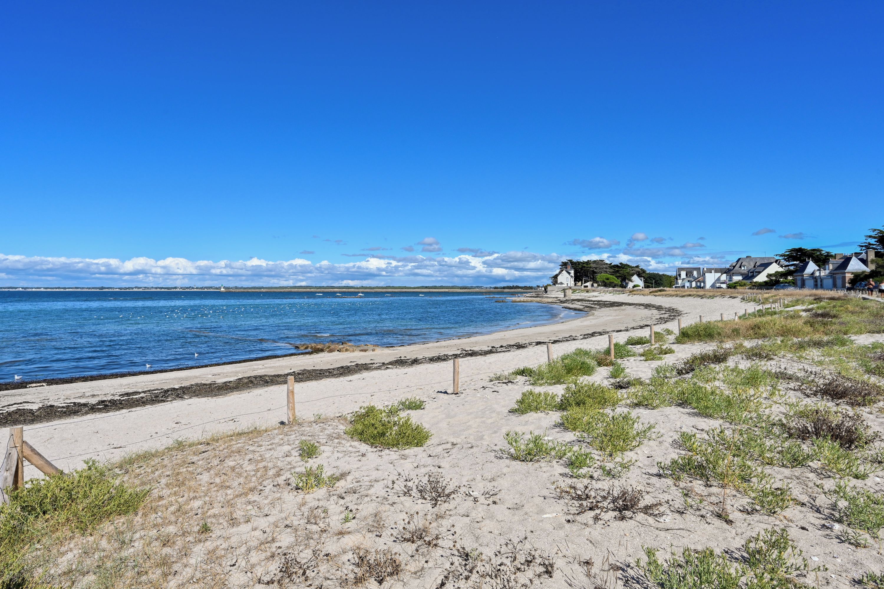 Una platja costanera amb un camí de sorra que condueix a una filera de cases.