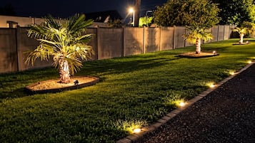Un chemin de jardin bien éclairé, bordé de palmiers et doté d’une bordure pavée.
