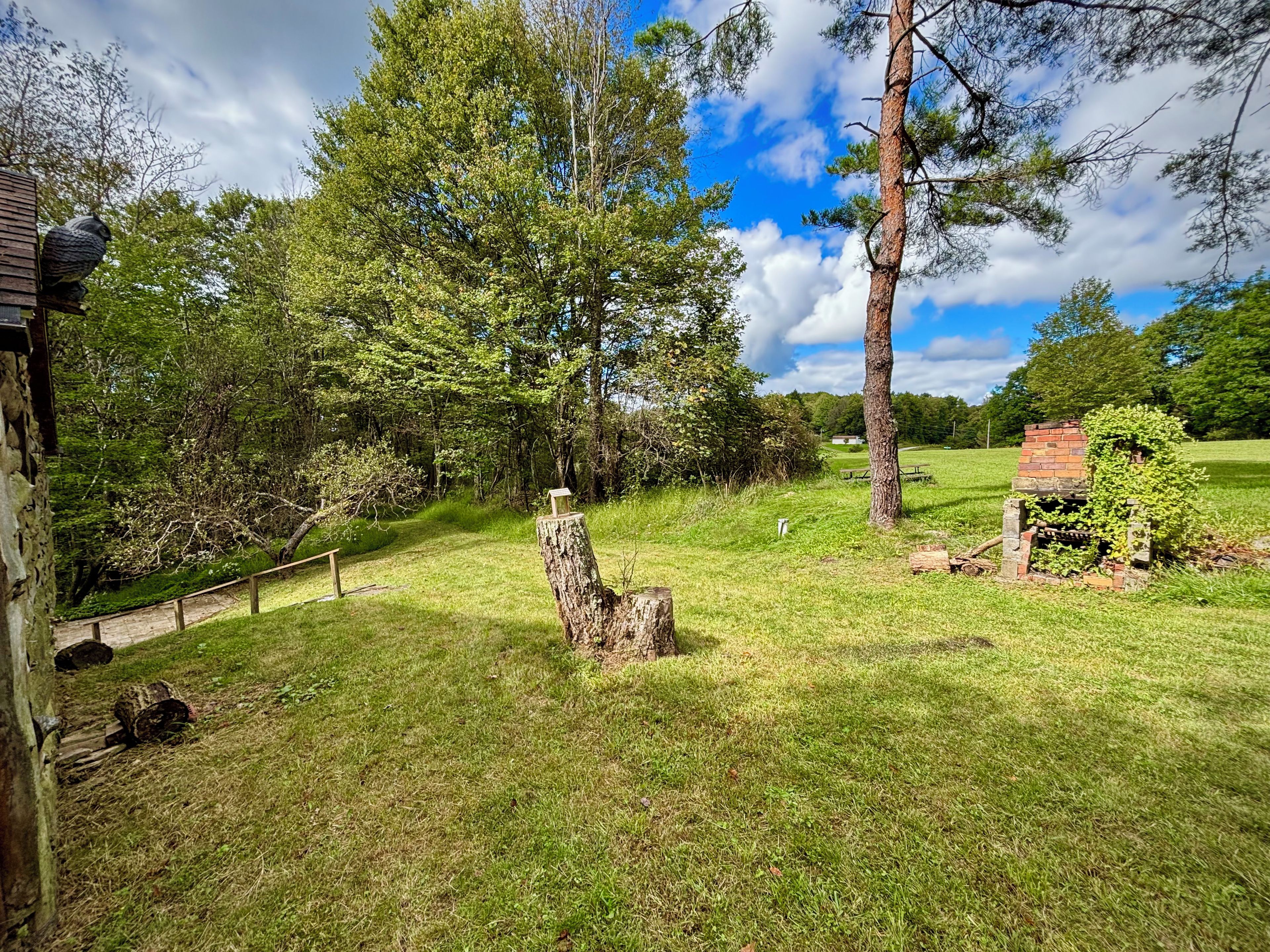 Un espace extérieur verdoyant, avec une structure en bois, un mur de pierre et un arbre.