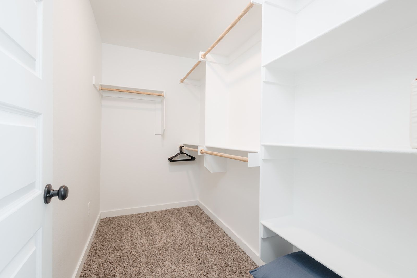 A walk-in closet with white walls, a carpeted floor, and a wooden hanger rod.