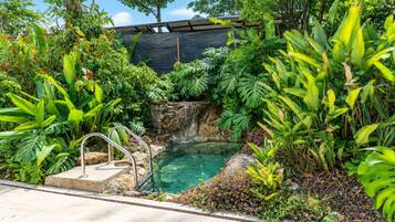 Una piscina rodeada de exuberante vegetación tropical, un muro de piedra y una escalera metálica que da al agua.