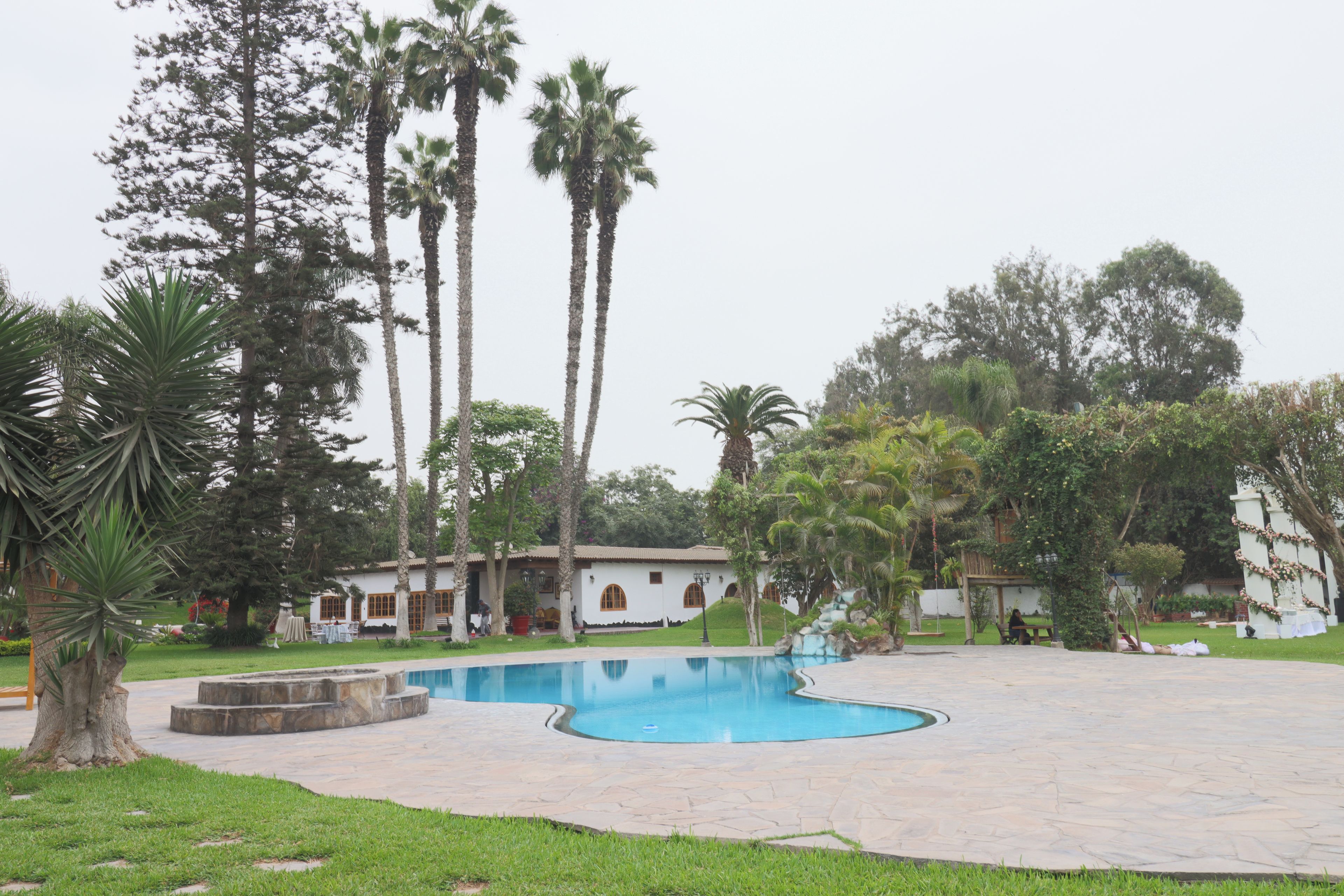 A swimming pool surrounded by palm trees and a building with a tiled roof.