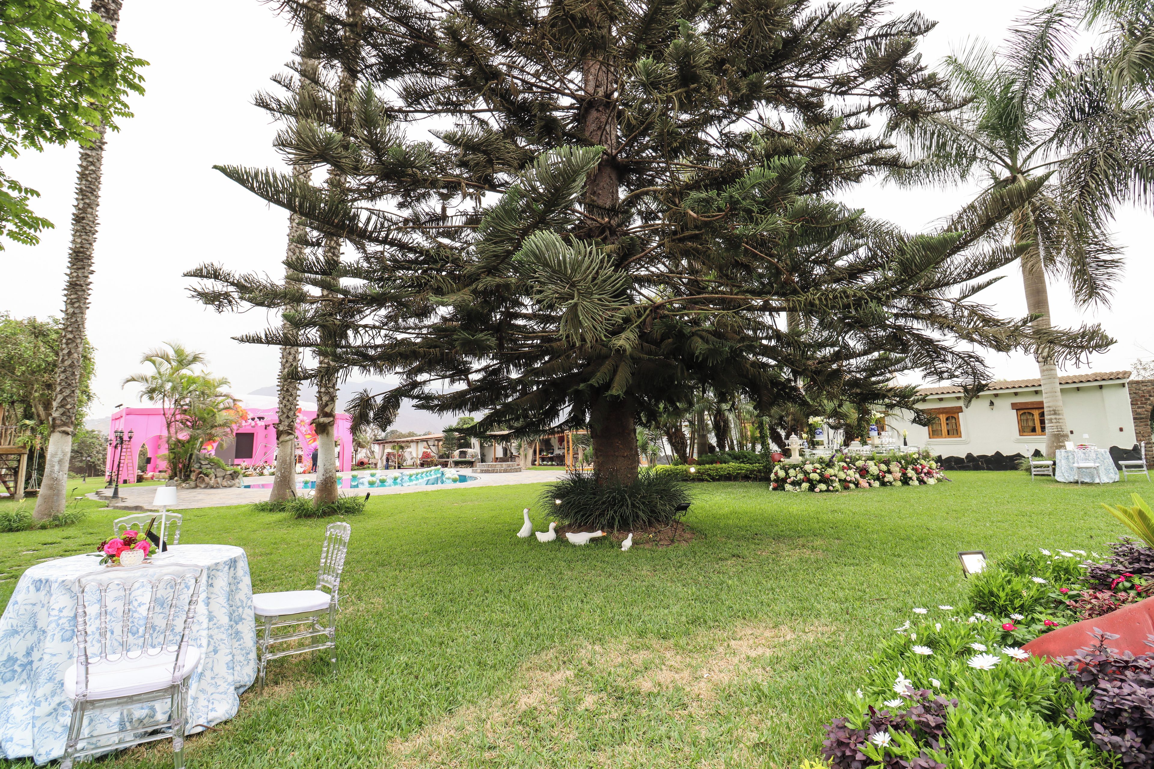 Een verzorgde tuin met een grote boom, een zwembad en buitenmeubilair.