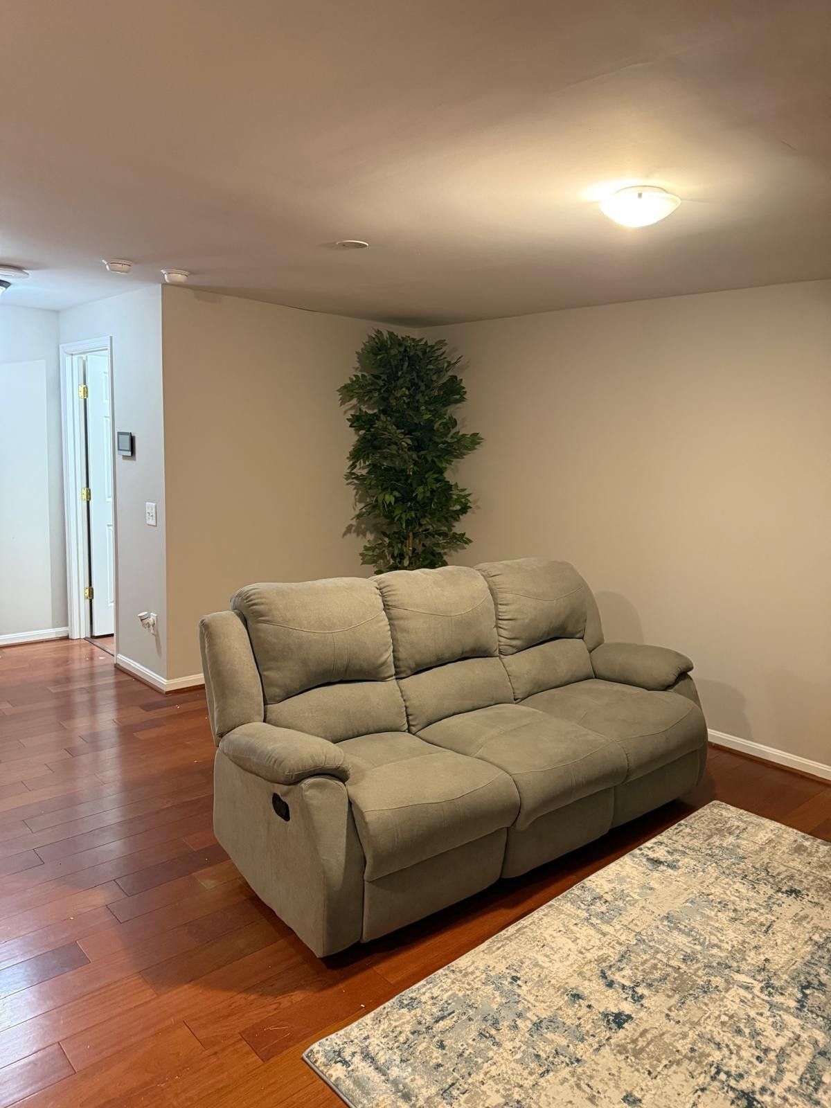 A living room with a beige sofa, a patterned rug, and a green plant.