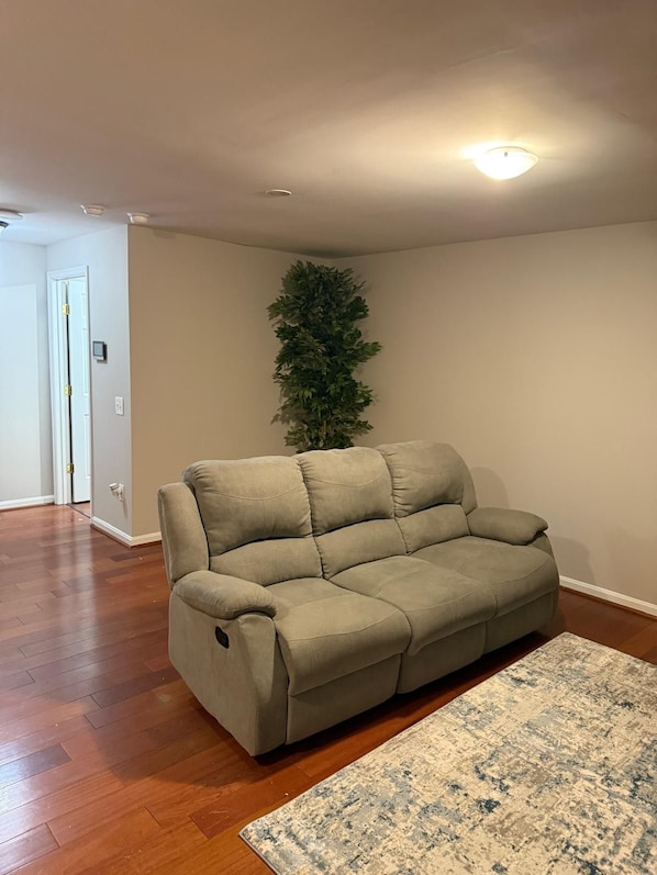 A living room with a beige sofa, a patterned rug, and a green plant.