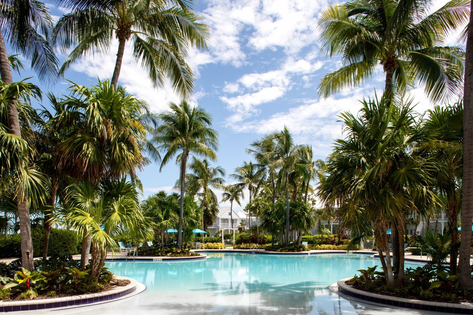 A swimming pool surrounded by palm trees and a clear sky.