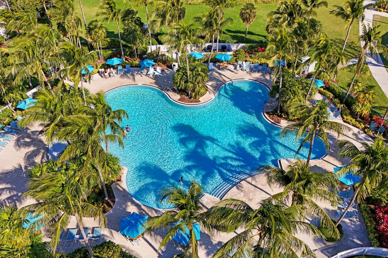 Une grande piscine circulaire, entourée de palmiers et de chaises longues.
