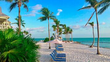 A beach with rows of blue lounge chairs, palm trees, and a building in the background.