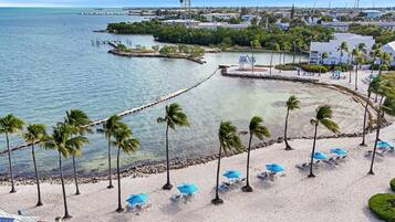 A beach with palm trees, clear water, and a pier extending into the sea.