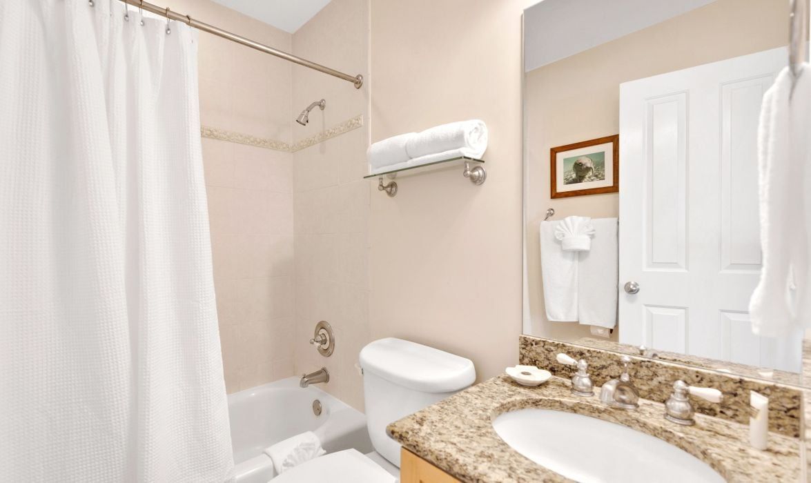 A bathroom with a shower curtain, a bathtub, a toilet, a sink, and a mirror.