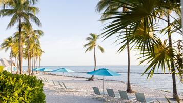 A beach with palm trees, sun loungers, and umbrellas.