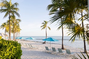A beach with palm trees, sun loungers, and umbrellas.