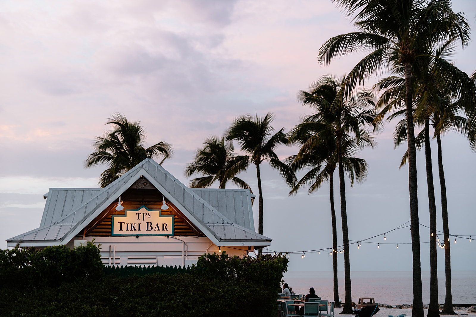 Un bar de style tiki, doté d’un toit incliné, entouré de palmiers et offrant une vue sur une étendue d’eau.