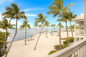 A beach view with palm trees and a pool area.
