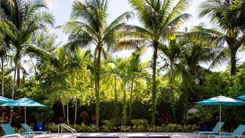 A swimming pool with lounge chairs and umbrellas, surrounded by palm trees.