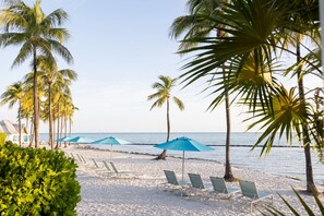 A beach with palm trees, sun loungers, and umbrellas. - Spacious Double Queen w/ Beach Access, Marathon (Marathon)