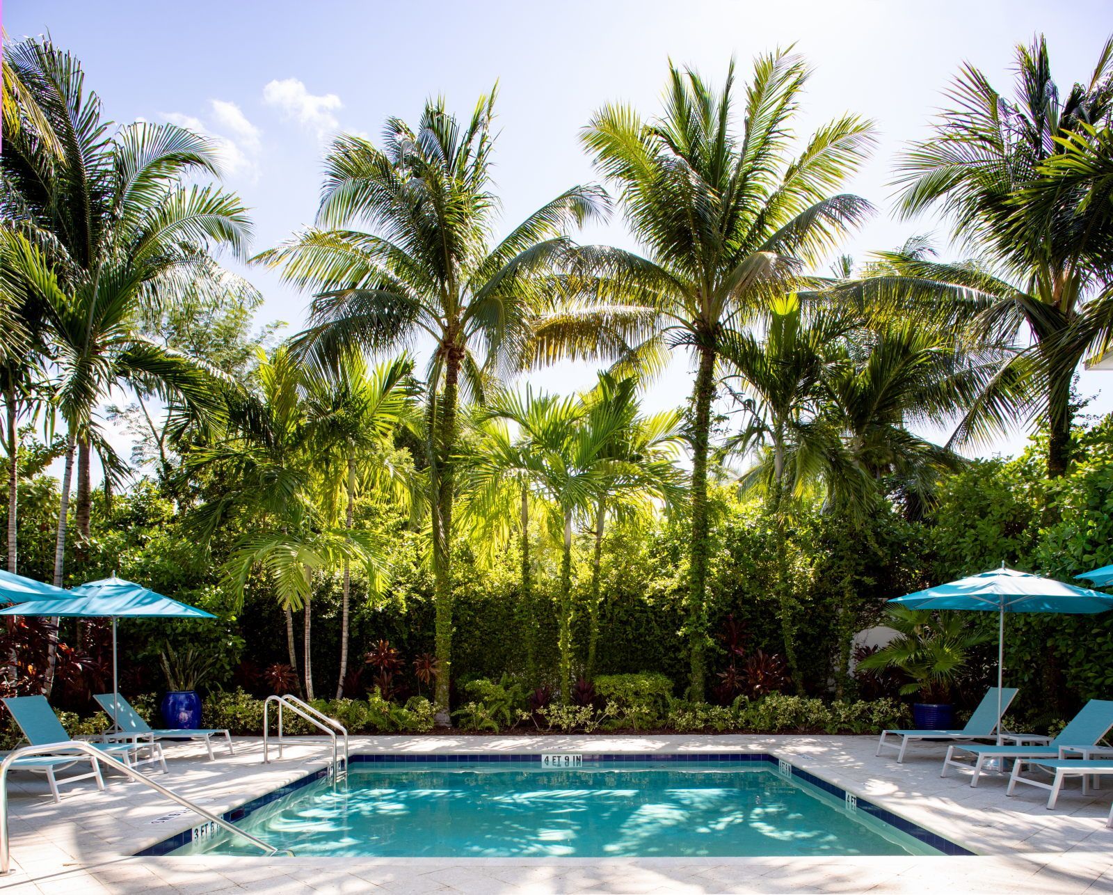 A swimming pool with lounge chairs and umbrellas, surrounded by palm trees.