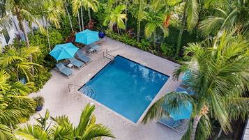 An aerial view of a swimming pool surrounded by palm trees and lounge chairs.