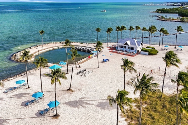 Un complexe hôtelier en bord de mer, doté d’une piscine, de palmiers et d’une jetée.