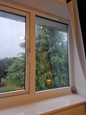 Een uitzicht op weelderige begroeiing en bomen vanuit een raam.