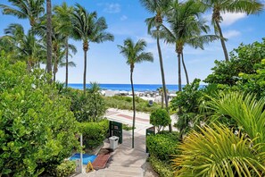 A pathway leading to a beach with palm trees and a clear view of the ocean. - Oceanview Studio at Fontainebleau Miami Beach with Balcony (Miami Beach)