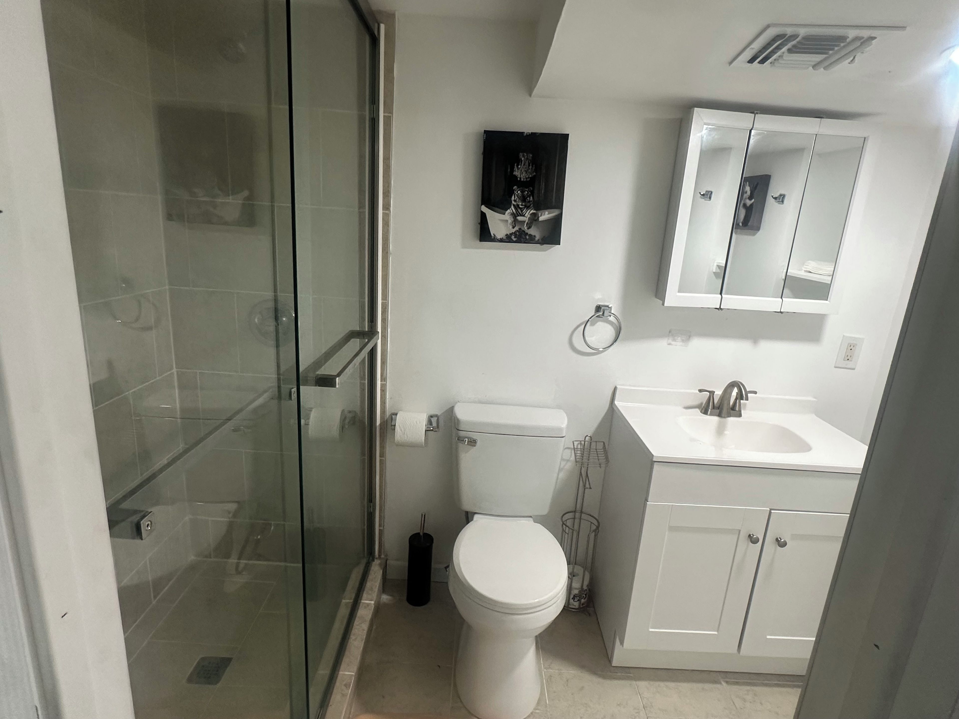 A bathroom with a glass-enclosed shower, a toilet, a sink, and a mirror.