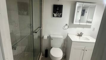 A bathroom with a glass-enclosed shower, a toilet, a sink, and a mirror.