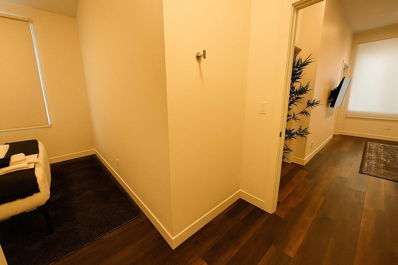 A hallway with a door, a chair, and a plant.