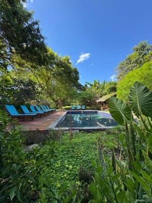 Uma área de piscina com espreguiçadeiras e vegetação exuberante.