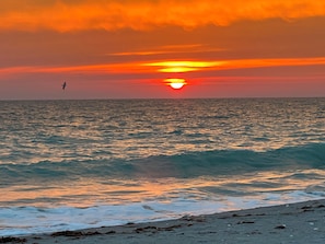 A sunset over the ocean with waves, a bird flying, and a beach in the foreground. - The Slackin' Kraken #1 - Unwind Awhile! Sleeps 4! (Englewood)