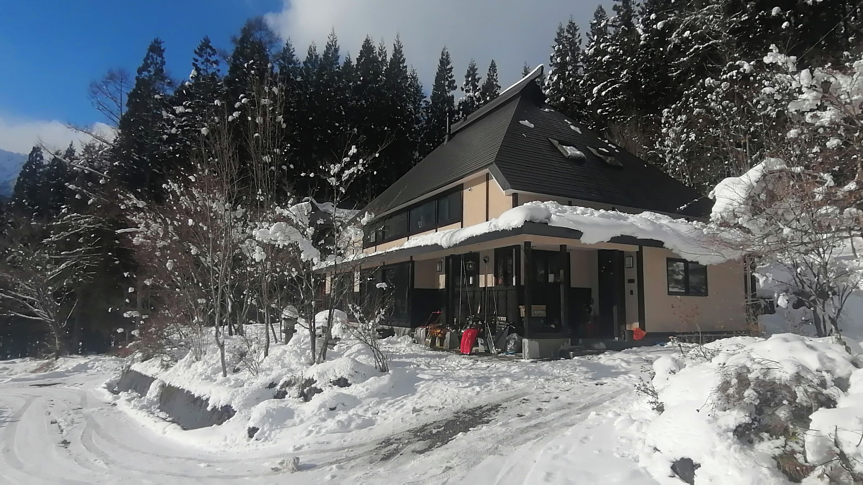 Un edificio di due piani con un portico coperto, circondato da alberi innevati e un cielo sereno.