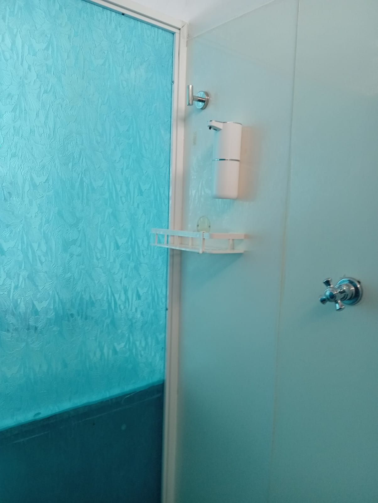 A bathroom with a frosted glass door, a white towel dispenser, and a metal faucet.