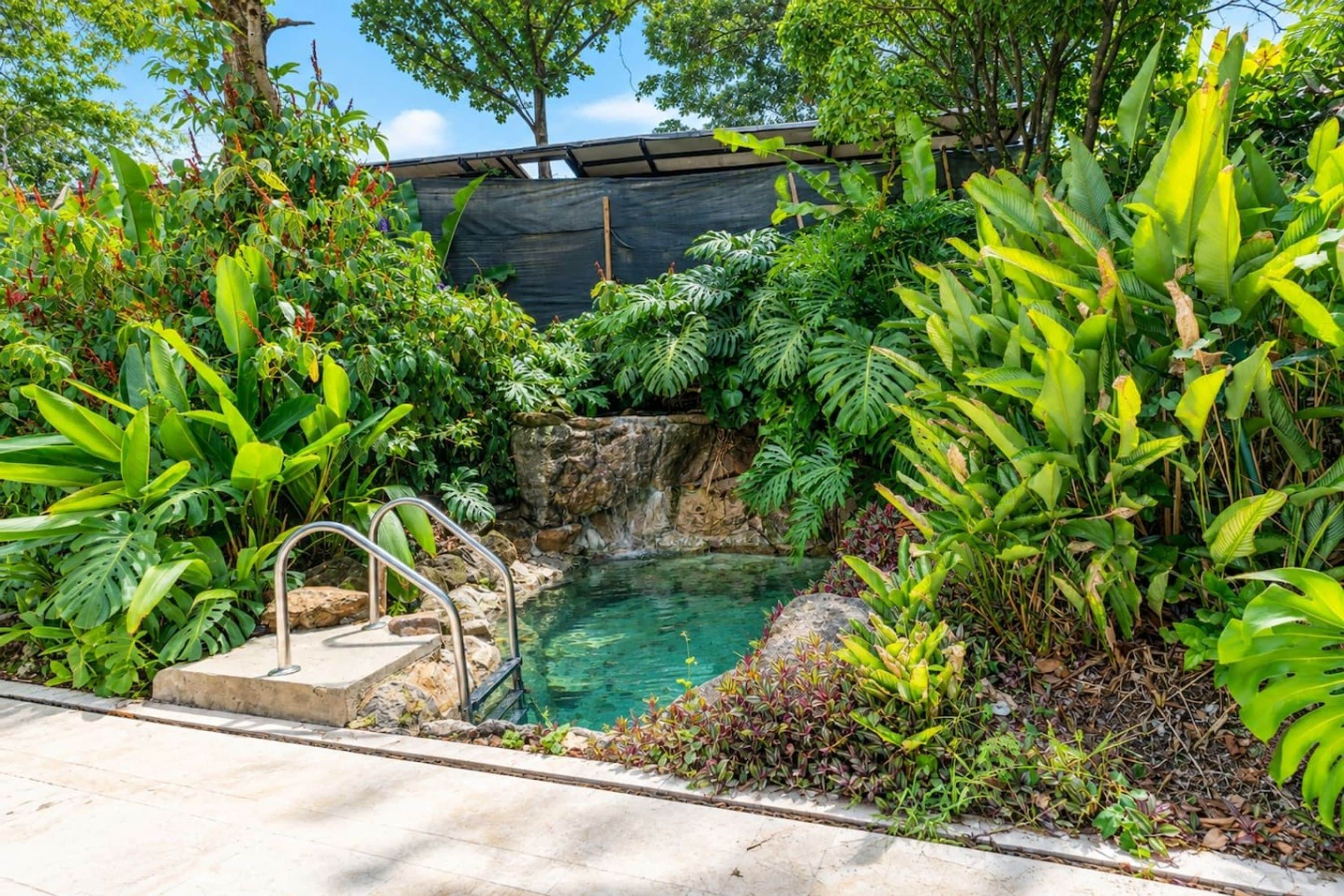 A pool surrounded by lush tropical vegetation, with a stone ledge and metal handrail.