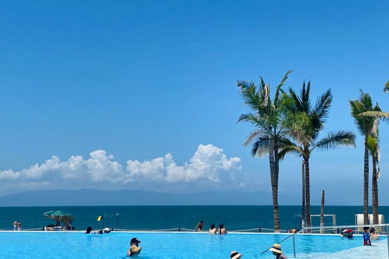 Un espace piscine agrémenté de palmiers et offrant une vue sur l’océan.