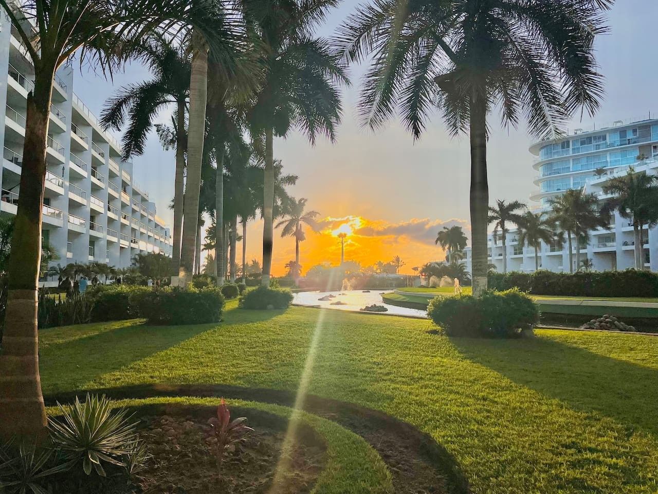 Une cour d’hôtel agrémentée de palmiers, une piscine et une vue imprenable sur le coucher de soleil.