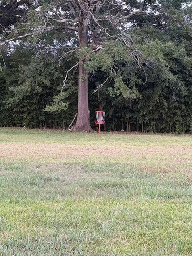 Family Pet friendly Private 11-Acre Country Retreat with 6 bedrooms & Disc Golf