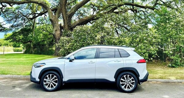 Ein weißer SUV steht an einer Straße, im Hintergrund sind ein großer Baum und viel Grün zu sehen.