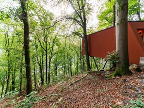 A forested area with a building partially obscured by trees. - The Blooming Refuge - Hydrangea Cabin (La Roche-en-Ardenne)