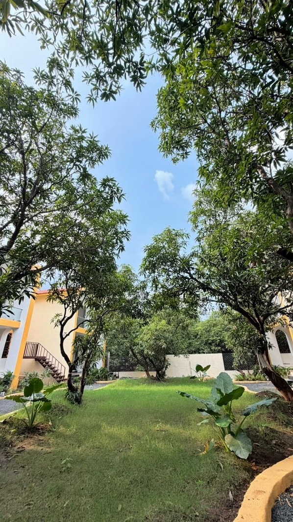A courtyard with a grassy area, trees, and a building with a staircase. - The Premier Girtara Resort (Talala)
