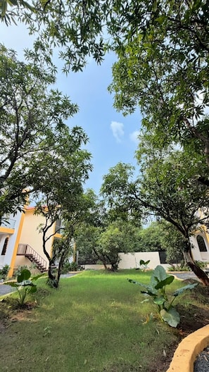 A courtyard with a grassy area, trees, and a building with a staircase.