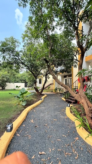 A pathway leading to a building with a staircase and a tree-lined entrance.