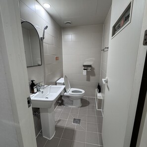 Een compacte, moderne badkamer met toilet, wastafel en spiegel.