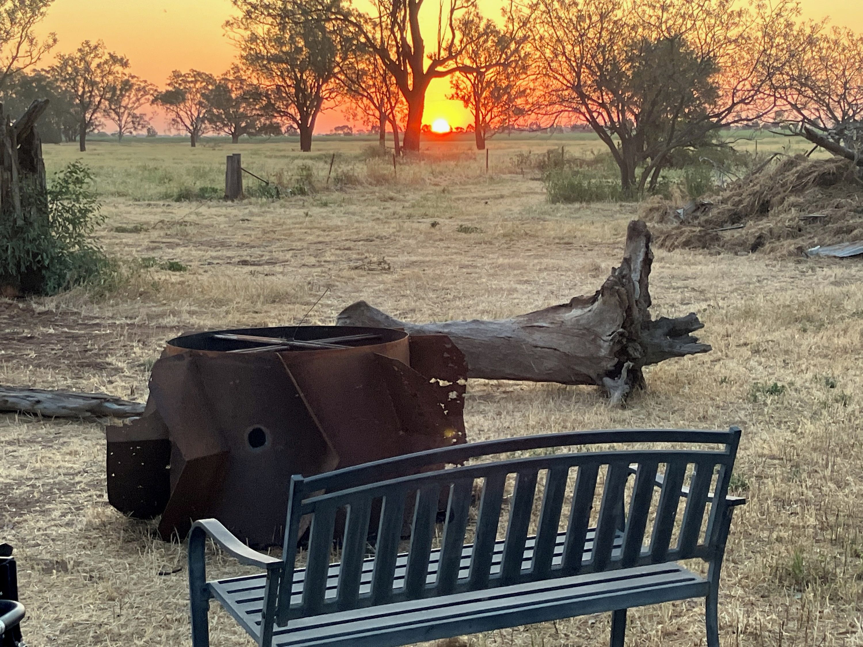 A bench in a field with a sunset in the background.
